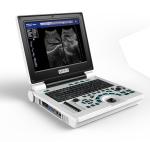 Clinic Doppler Portable Veterinary Ultrasound Machine Li Battery For Dog