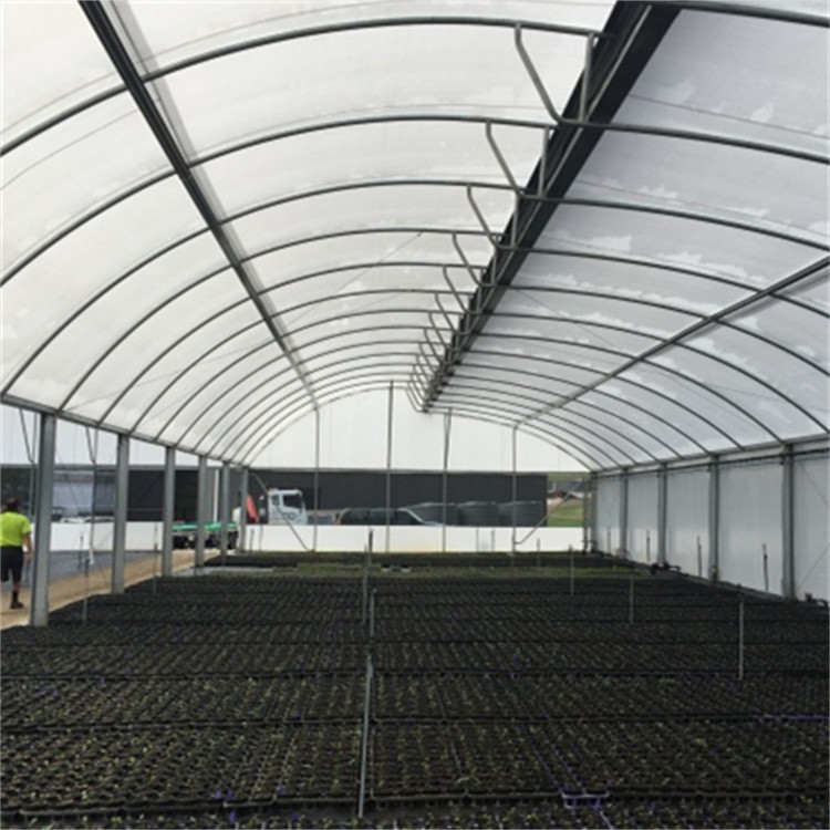 Gothique Tunnel Side Ventilation Tunnel Plastic Greenhouse With 2m Sliding Door