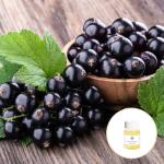 OEM ODM Black Currant Seed Carrier Oil Cold Press For Health Care