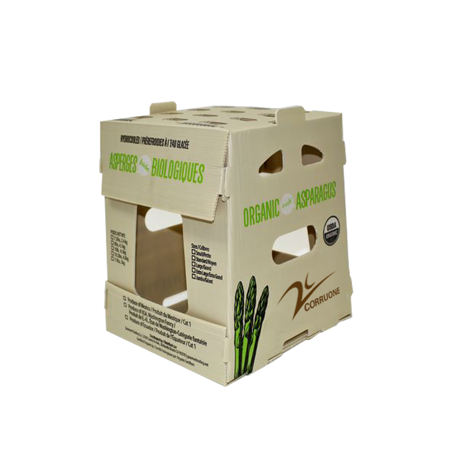 PP Corrugated plastic box vegetable fruit box