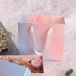 Ribbon Shopping 210GSM Art Gift Custom Printed Paper Bags