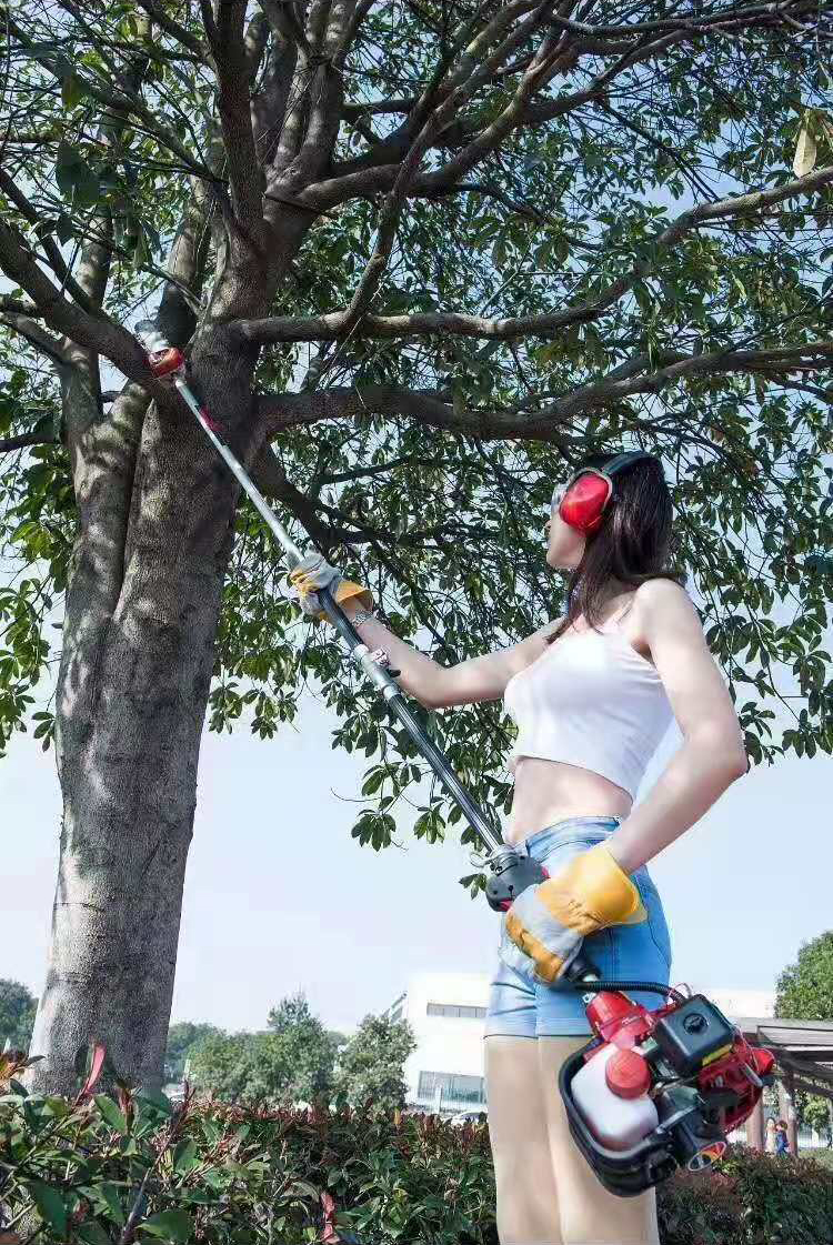 High Branch Chainsaw Heavy Duty 12 Inch 22.5CC Gas Pole Saws For Tree Trimming