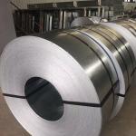 Electro Galvanized Steel Coils Build Material Hot Rolled Steel Strip
