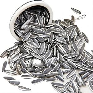 Quality Sunflower Seeds S3 The Perfect Choice Looking for Healthy Snack Options wholesale