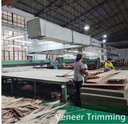 Dongguan Yinghui Wood Industry Co., Ltd.