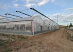 Fruits Irrigation Tunnel Multi Span Plastic Film Greenhouse