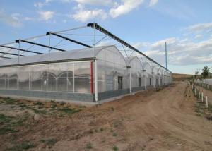 Quality Fruits Irrigation Tunnel Multi Span Plastic Film Greenhouse wholesale