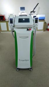 Quality Cryolipolysis Cellulite Machine For Beauty Clinic &amp; Spa wholesale