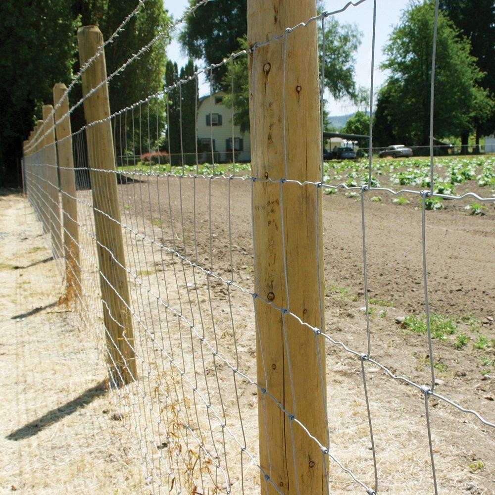 Livestock Fixed Knot Fence Goat Sheep Cattle Farm 1.8m 12.5 Gauge