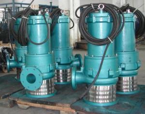 Quality Hydromatic Submersible Waste Pump Water 50mm 550QW4000-30-450 wholesale