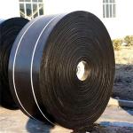 Heavy Industry Mining Rubber Multi-ply Textile Cold Resistant Conveyor Belt