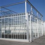 Agriculture Flower Greenhouse Glass Industrial Outdoor Multispan Glass