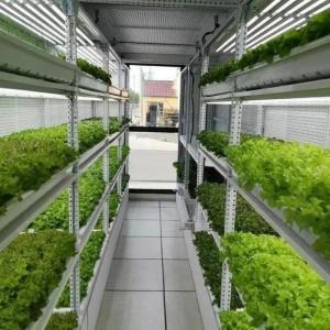 Quality Hydroponic System Container Farm Suitable for Growing Vegetables Fruits and Flowers wholesale