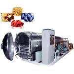 Vacuum Freeze Fruit And Vegetable Lyophilizer Dried Drying Machine