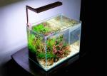 Warm White 70W AC 277V LED Aquarium Light Bar