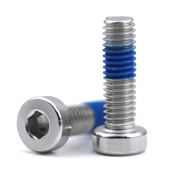 ISO9001 2015 Certified Stainless Steel Hexagon Socket Head Cap Screw with Nylon