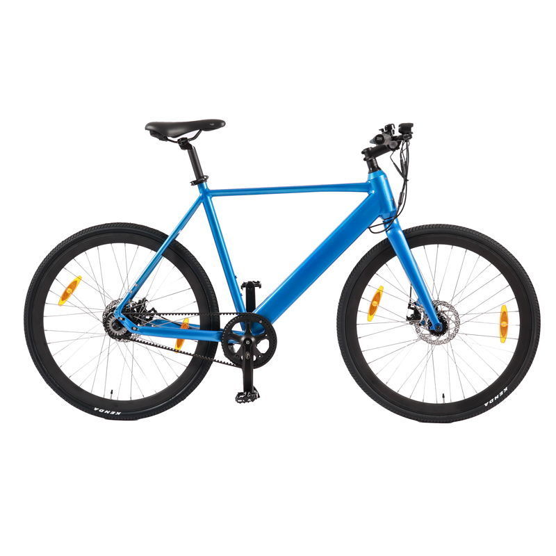 Standard Style Carbon Belt Drive EBike LCD Display Electric Bike with 9.6 AH Capacity