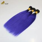 Colored Bundles Remy Ombre Human Hair Extensions Double Drawn