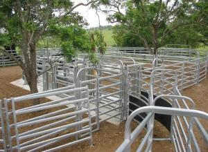 Quality Horse 6 Bars Galvanized 30*60mm Corral Panel Fence wholesale