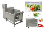 250L Multi Functional Vegetable Cleaning Machine With Full Stainless Steel