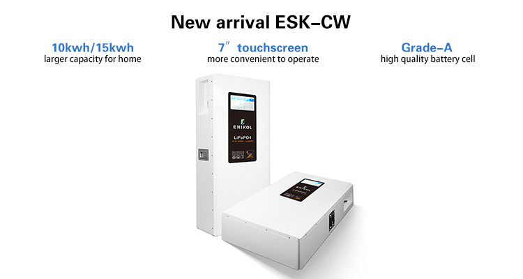 51.2V Wall Mounted LiFePo4 Battery with Touchable Screen 48V 200AH 300AH Lithium Battery