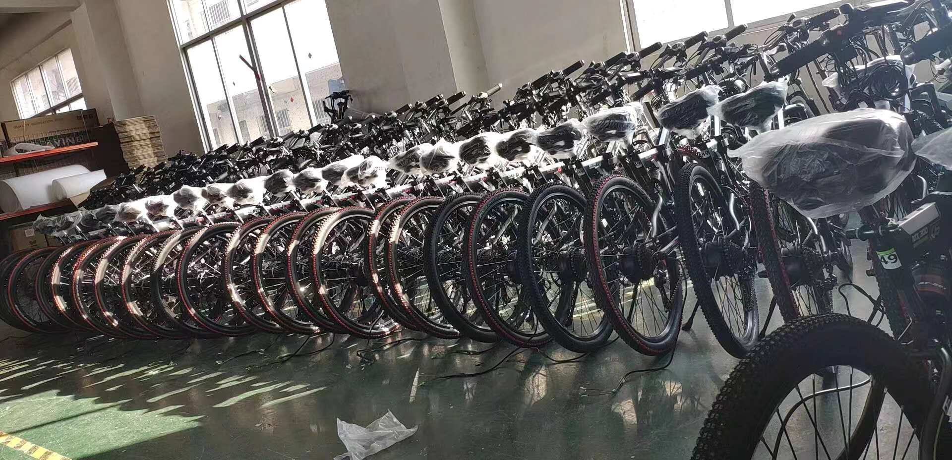 Unisex Fat Tire Electric Mountain Bike With Downtube Battery Multifunctional