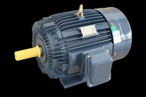 Quality Industrial Three-Phase Induction Motor IP55 Protection F Level wholesale