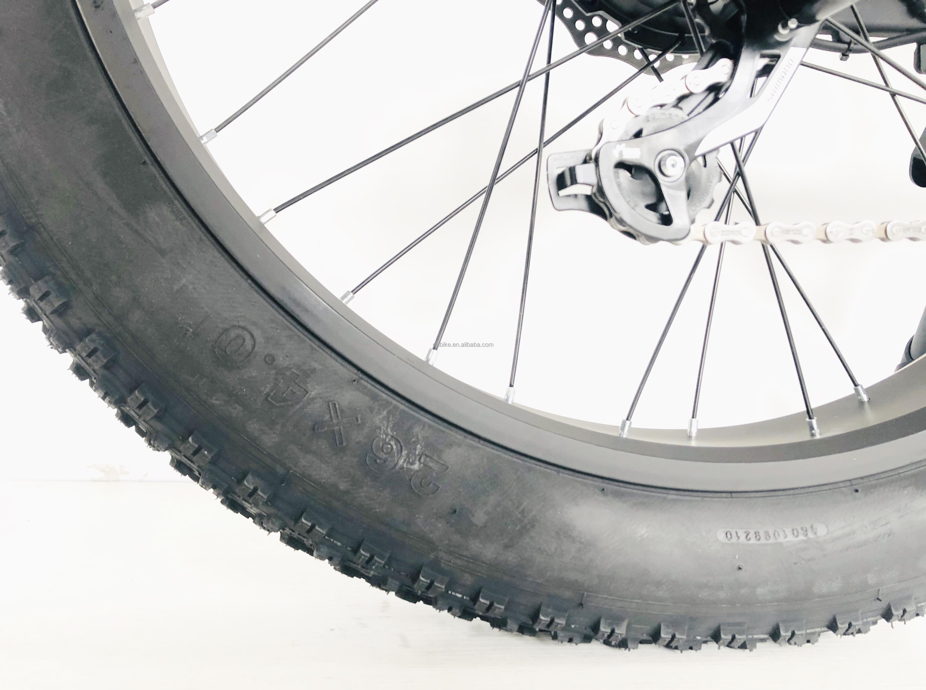 48V 1000W 17AH 50KM/H USA OEM Customized Fat Tire Electric Mountain Bicycle for Cargo