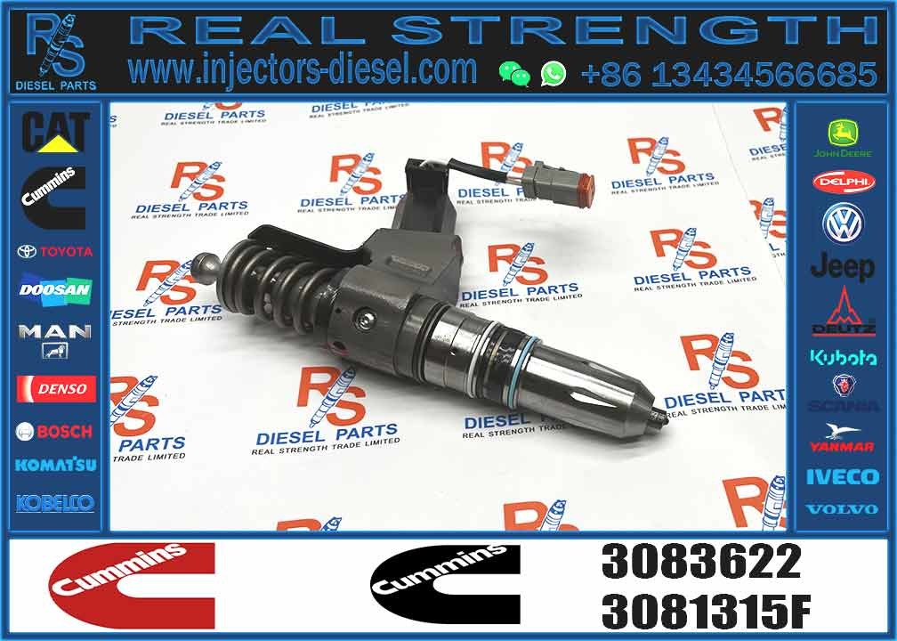Nine Brand Diesel Hot Sale High Quality Common Rail Injector 3081315F 4307516 6087807