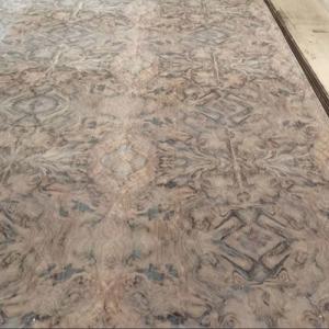 Quality American Walnut Burl Veneer Sheet Kraft Paper Backed wholesale