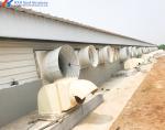 Fast Build Steel Structure Poultry Shed Construction Customized