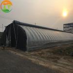 PE Film Blackout Light Deprivation Greenhouse for Small-Scale Farming Solutions