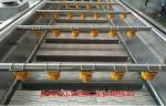 Rooted Plant Fruit And Vegetable Processing Machinery Washing Equipment Large