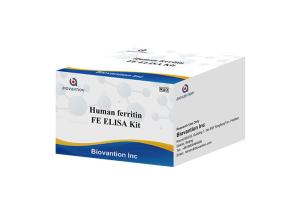 Quality 96 Wells FE Ferritin Elisa Test Human Ferritin Elisa Kit wholesale