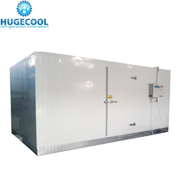 Freezer Cold Room For Frozen Fish Storage
