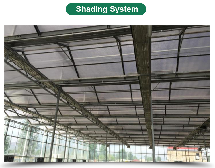 Multi-Span Agricultural Greenhouses for Sustainable Fruits and Vegetables Cultivation