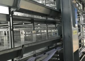 Quality Professional 6 Tiers Automatic Poultry Feeder System Used On Chicken Cage wholesale