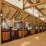 Powder Coating Finish Horse Stall Fronts Metal Horse Stall Gates High Durability