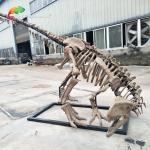 Sunproof Resin Dinosaur Skeleton Gasosaurus Skull