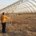 Double Arches Double Film Agricultural Growing 10X50m Single Span Greenhouse