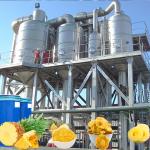 PLC Controlled Aseptic Bag Pineapple Processing Line 20T/H 440V