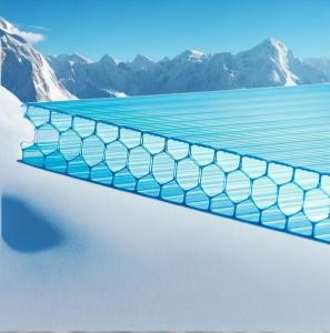 Quality 10mm Twinwall UV Blocked Greenhouse Transparent Polycarbonate Honeycomb Sheet wholesale