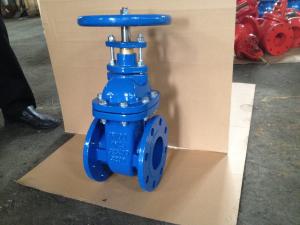 Quality (BS) Cast Iron Gate Valve NRS wholesale