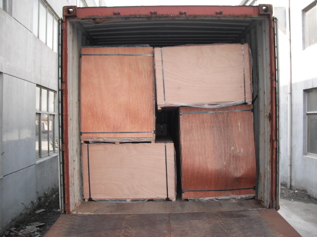 Eucalyptus 12mm Waterproof Film Faced Plywood For Construction