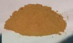feverfew herb extract /high quality feverfew extracts / 100% natural feverfew