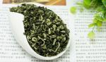 Green tea leaves before Ming biluochun pekoe multi - flavor fresh aroma foot