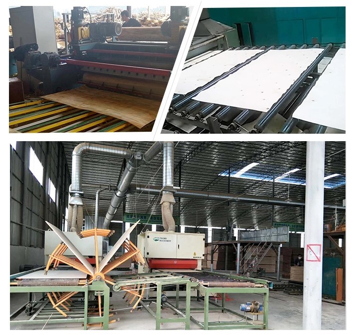 Lightweight Hardwood Faced Plywood Resistant To Corrosion Eco Friendly