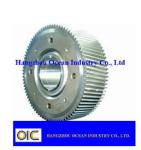Ship Girth Steel Gear Pinion