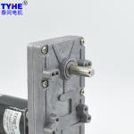 Small 12V 24V PMDC Flat Gear Motor Reducer DC Motor Double Shaft