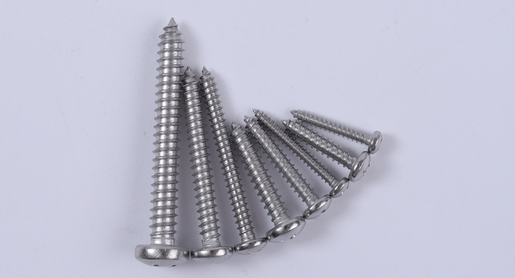 M3 4 5 6 Self Tapping Screws Assortment Kit Pan Head and Flat Head 304 Stainless Steel Screws